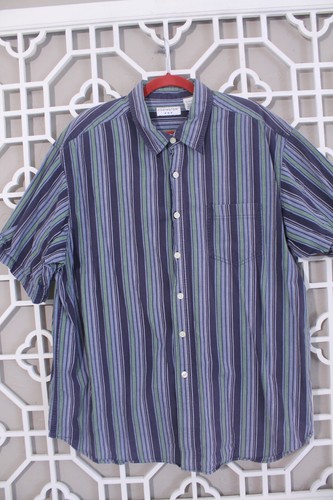 Covington button shirt mens - button,